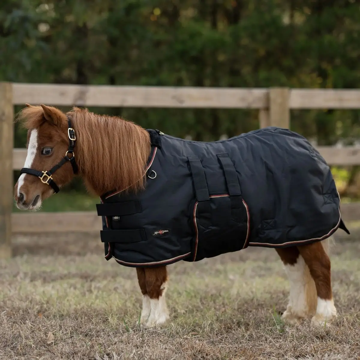 Mini 180G Medium Weight Horse Winter Turnout Blanket - Waterproof & Breathable 6