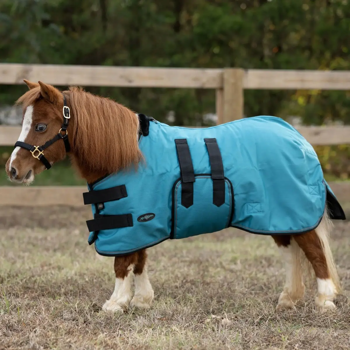 Mini 180G Medium Weight Horse Winter Turnout Blanket - Waterproof & Breathable 5