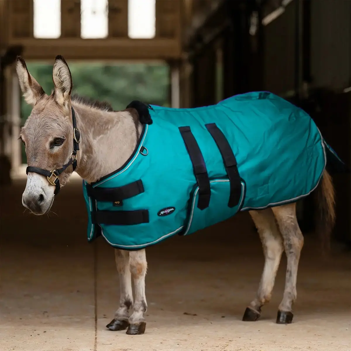 1200D Mini Donkey 180G Medium Weight Winter Turnout Blanket - Waterproof & Breathable 5