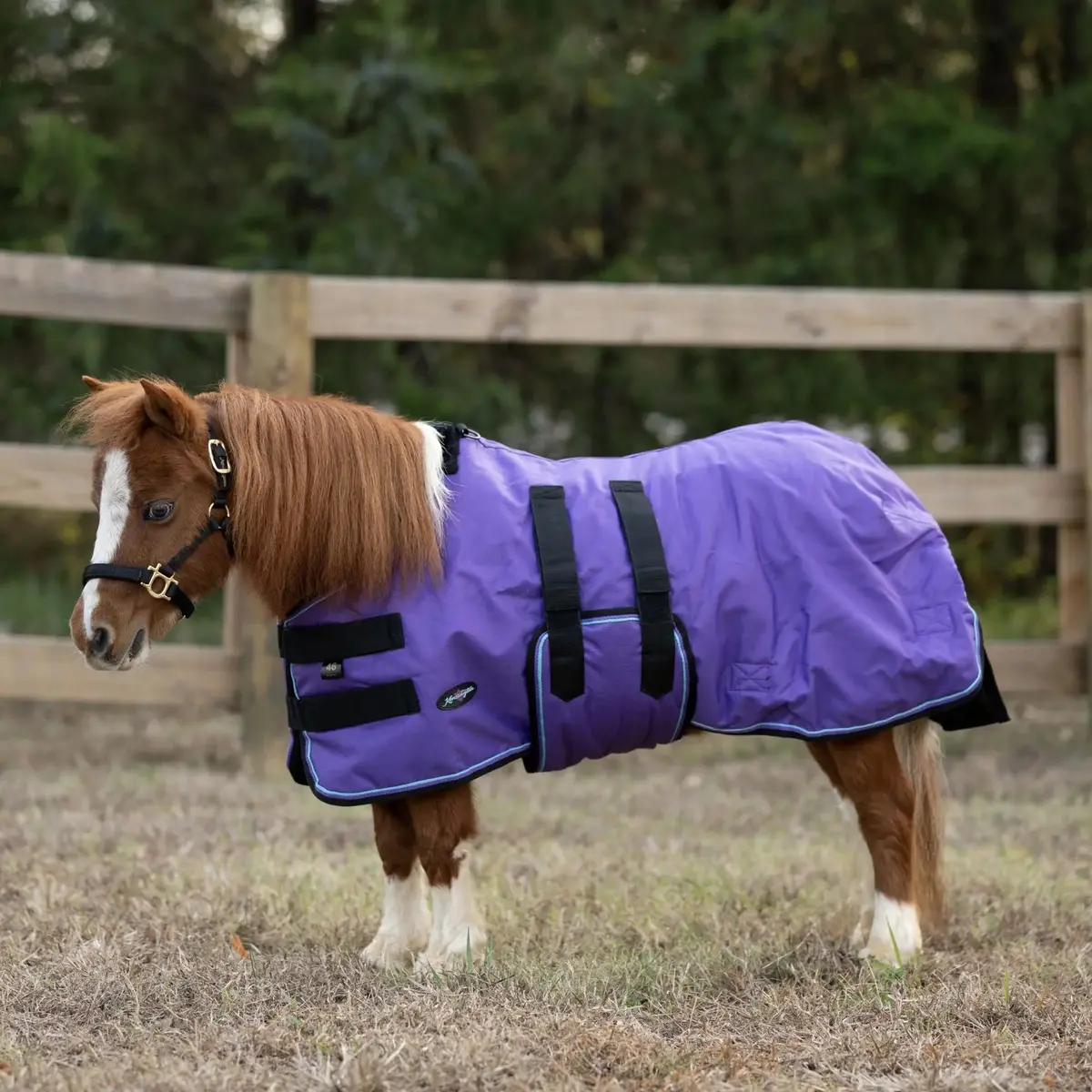 Mini 180G Medium Weight Horse Winter Turnout Blanket - Waterproof & Breathable 6