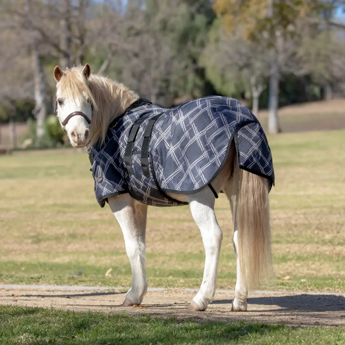 Mini 80G Light Weight Horse Winter Turnout Blanket - Waterproof & Breathable 1