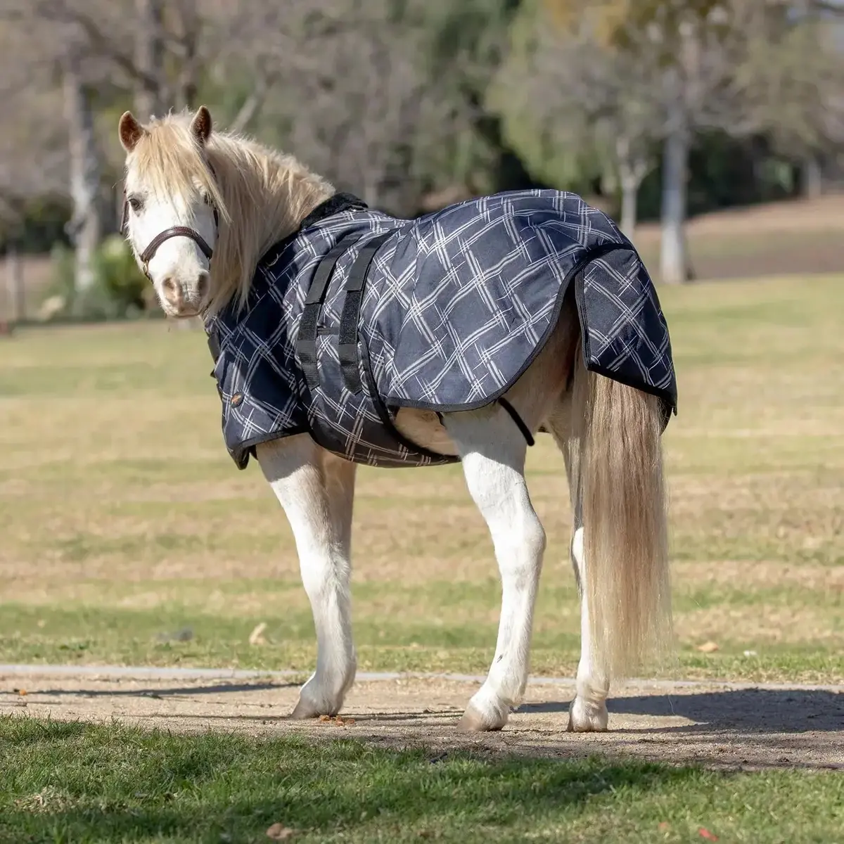 Mini 180G Medium Weight Horse Winter Turnout Blanket - Waterproof & Breathable 7
