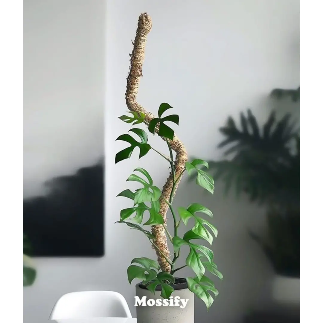 Mossify 42" Bendable Moss Pole 1