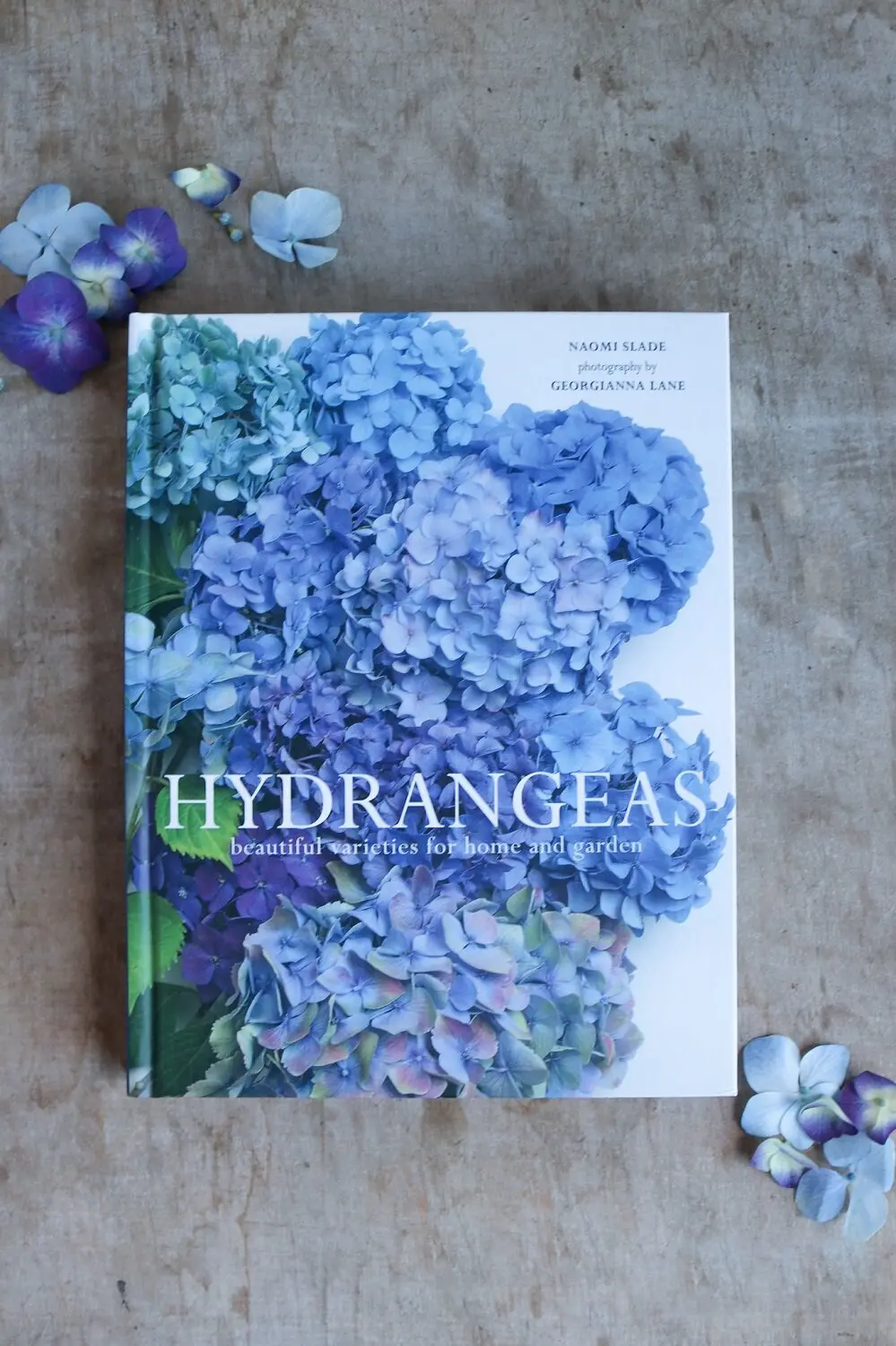 Hydrangeas: Beautiful Varieties 1
