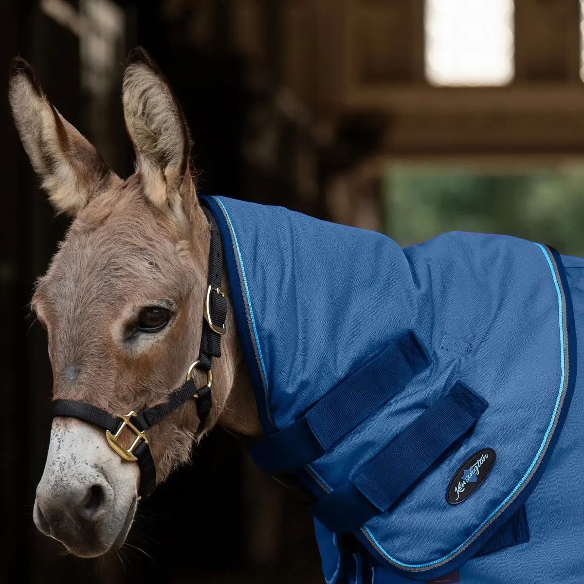 Mini Donkey 180G Medium Weight Winter Neck Warmer - Waterproof & Breathable 3