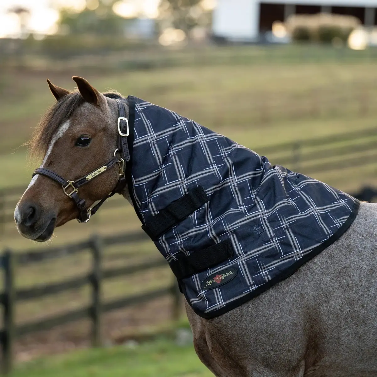 Pony 180G Medium Weight Winter Neck Warmer - Waterproof & Breathable 1