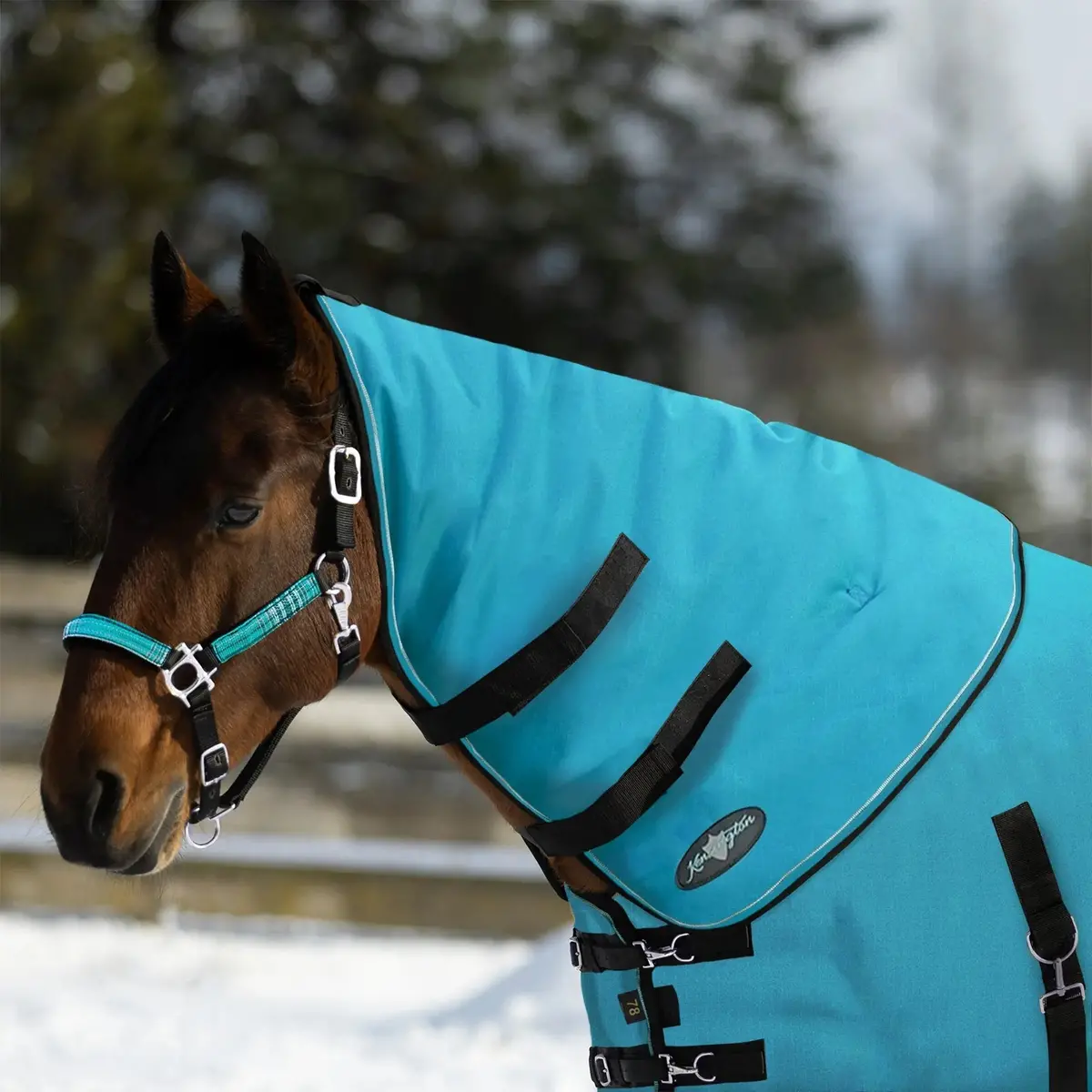 1200D Horse Neck Warmer – 180G Medium Weight, Waterproof & Breathable