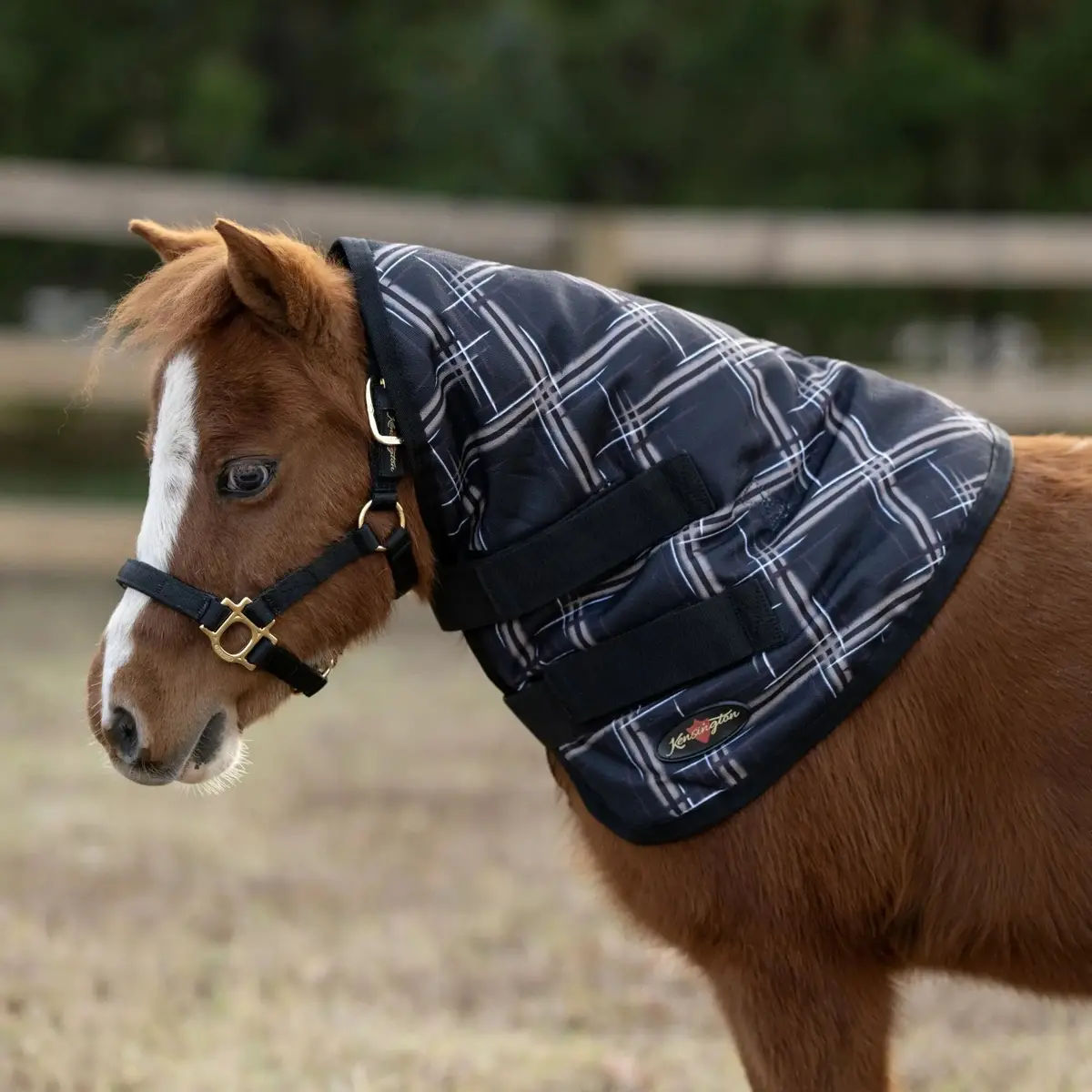 Mini 180G Medium Weight Winter Neck Warmer - Waterproof & Breathable 1