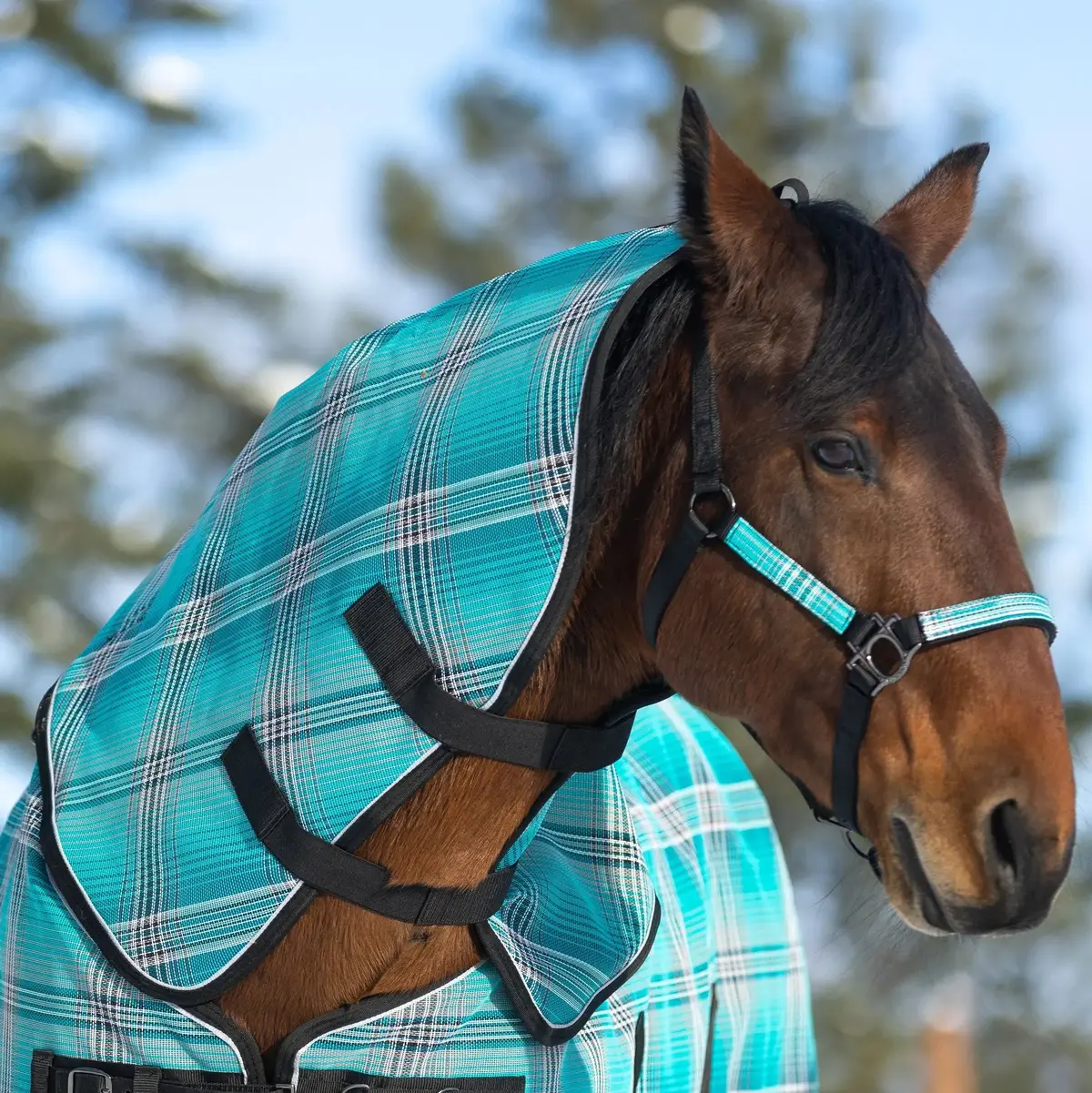 Supermesh® Winter Neck Warmer for Horses – Waterproof, Breathable & Layered