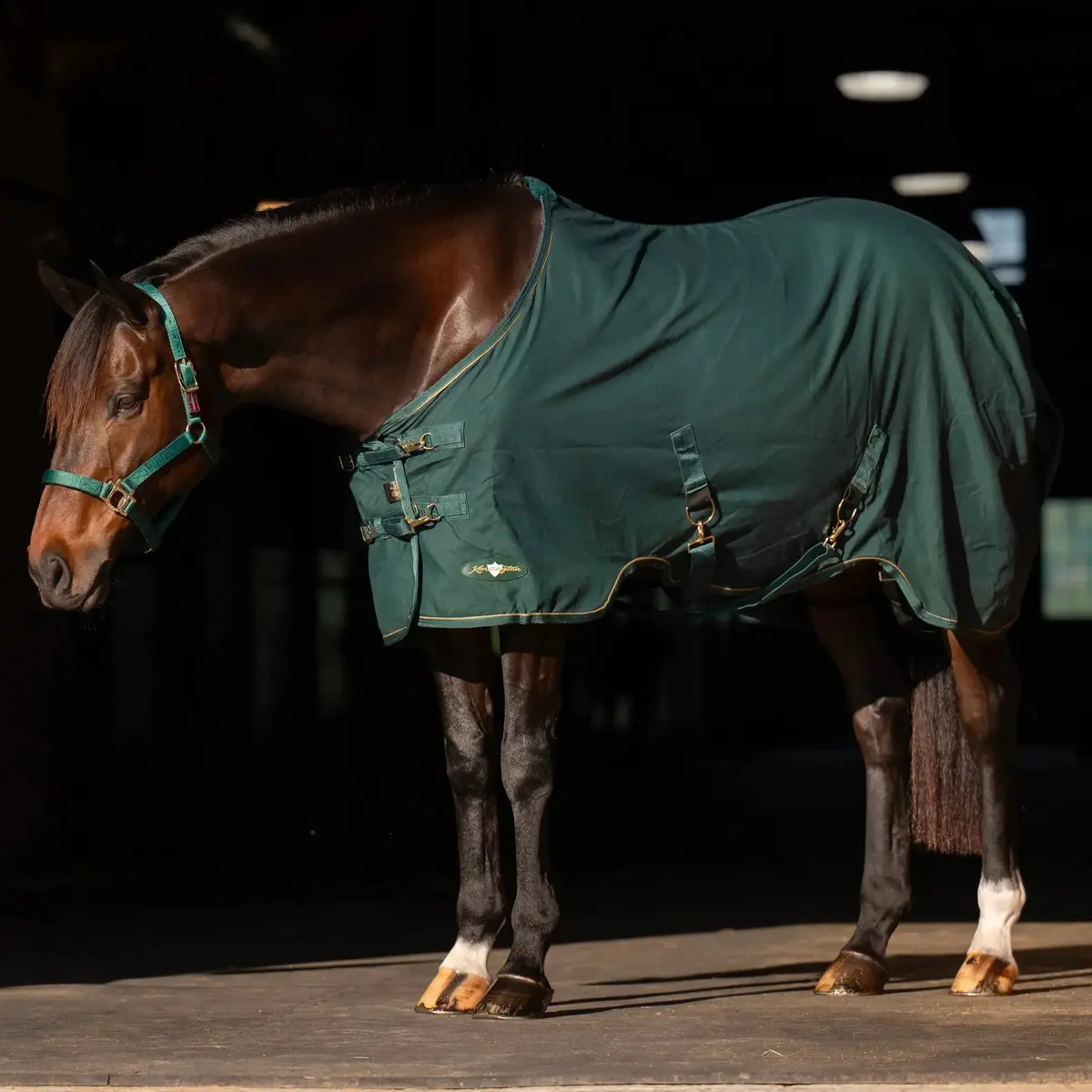 Horse Poly Cotton Day Sheet - Breathable Stable Sheet 1