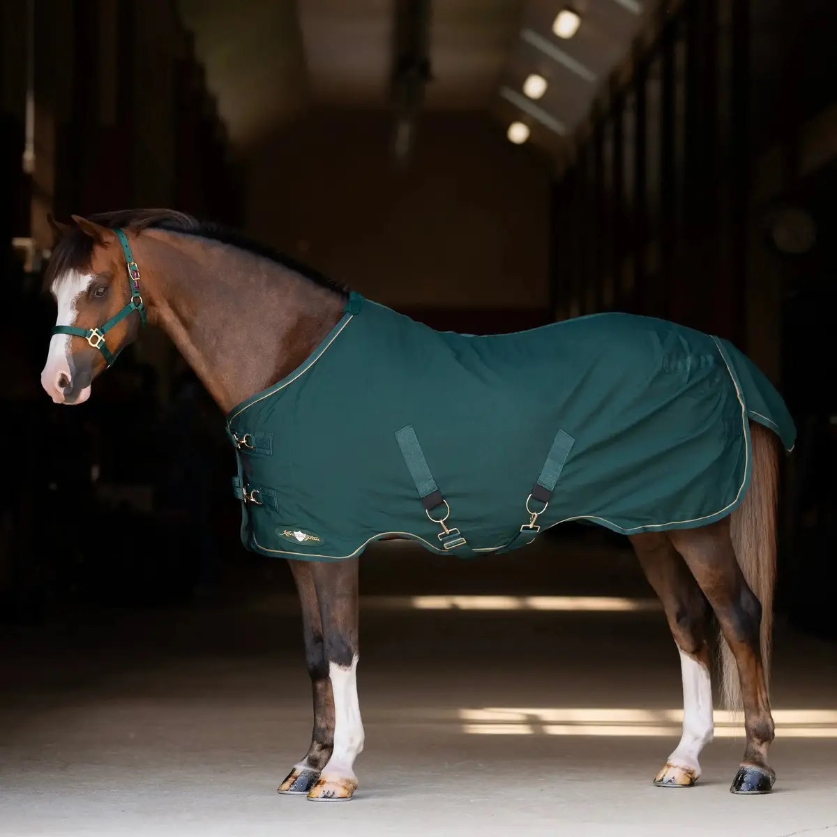 Pony Poly Cotton Day Sheet - Breathable Stable Sheet 1