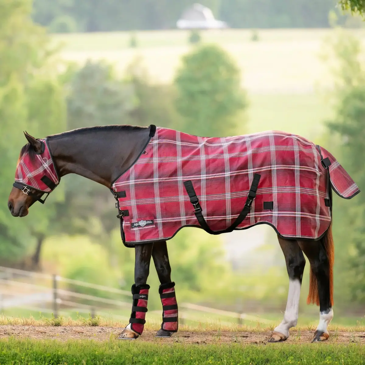 Horse Fly Sheet – Lightweight UV-Protective Coverage (73% UV Block)