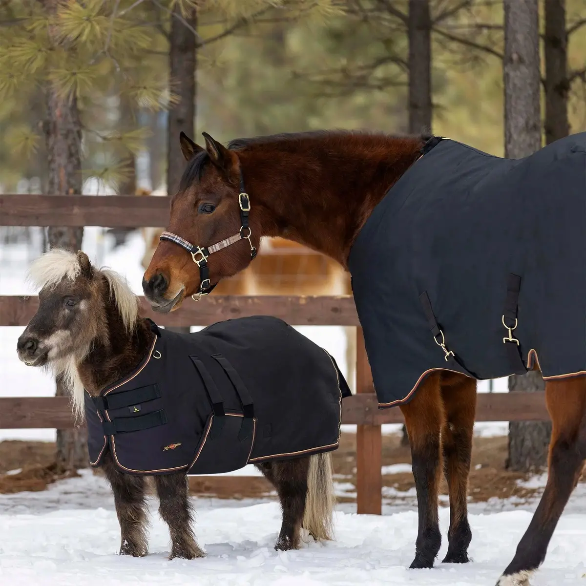 Mini 180G Medium Weight Horse Winter Turnout Blanket - Waterproof & Breathable 9
