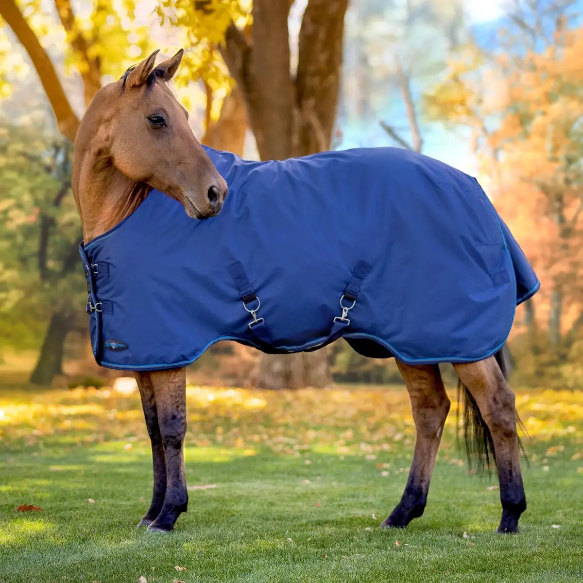 1200D Lightweight 80G Horse Winter Turnout Blanket - Waterproof & Breathable 3