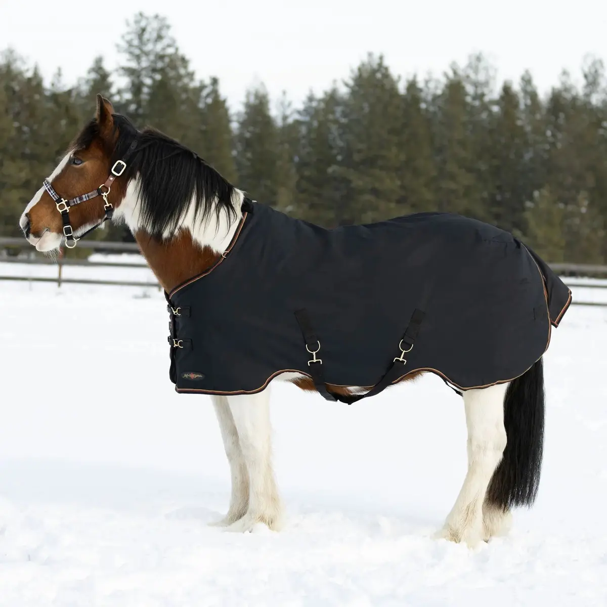 Draft Horse Midweight 180G Winter Turnout Blanket - Waterproof & Breathable 1