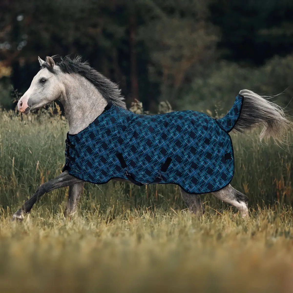 Pony Lightweight 80G Horse Winter Turnout Blanket - Waterproof & Breathable 2