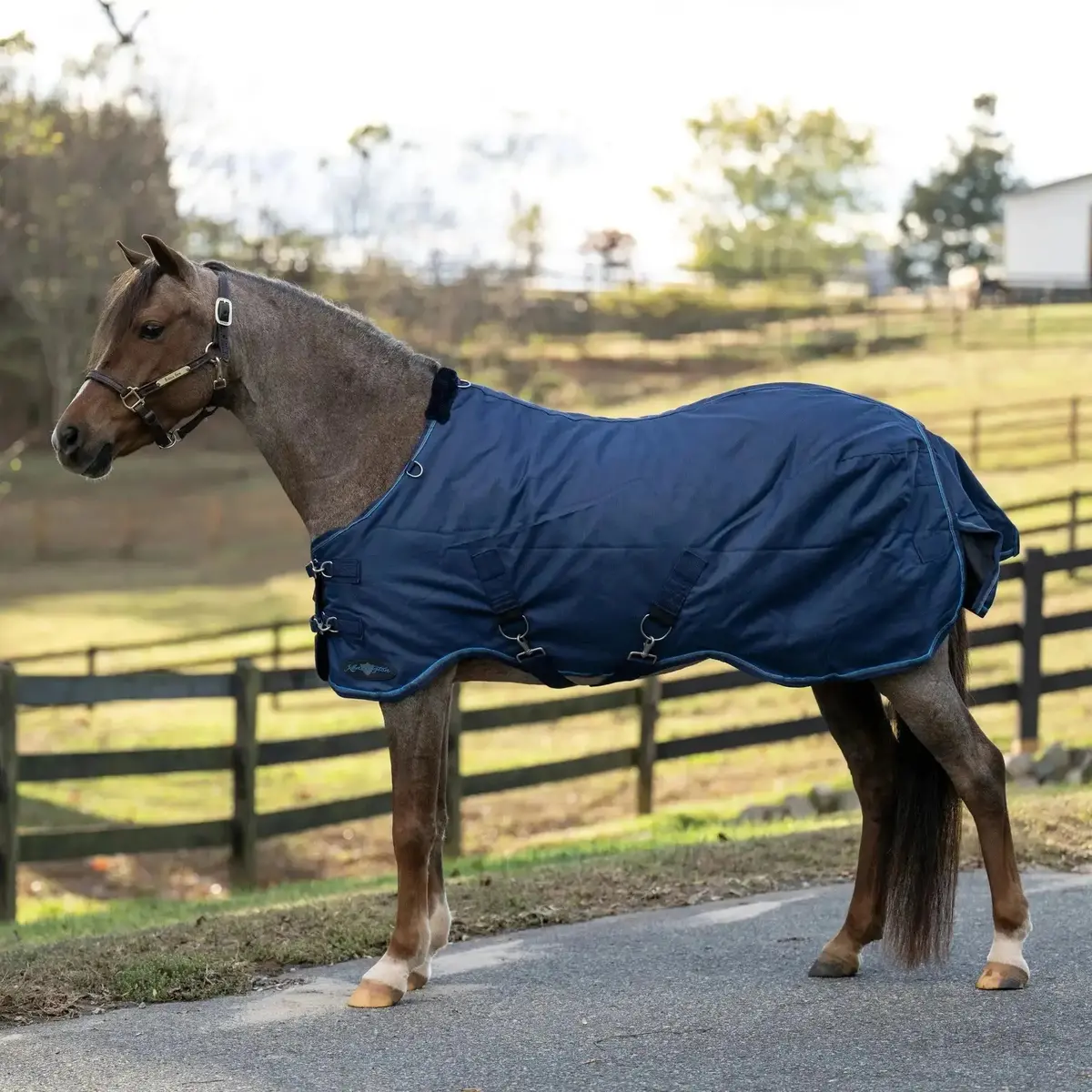 Pony Heavyweight 300G Horse Winter Turnout Blanket - Waterproof & Breathable 1
