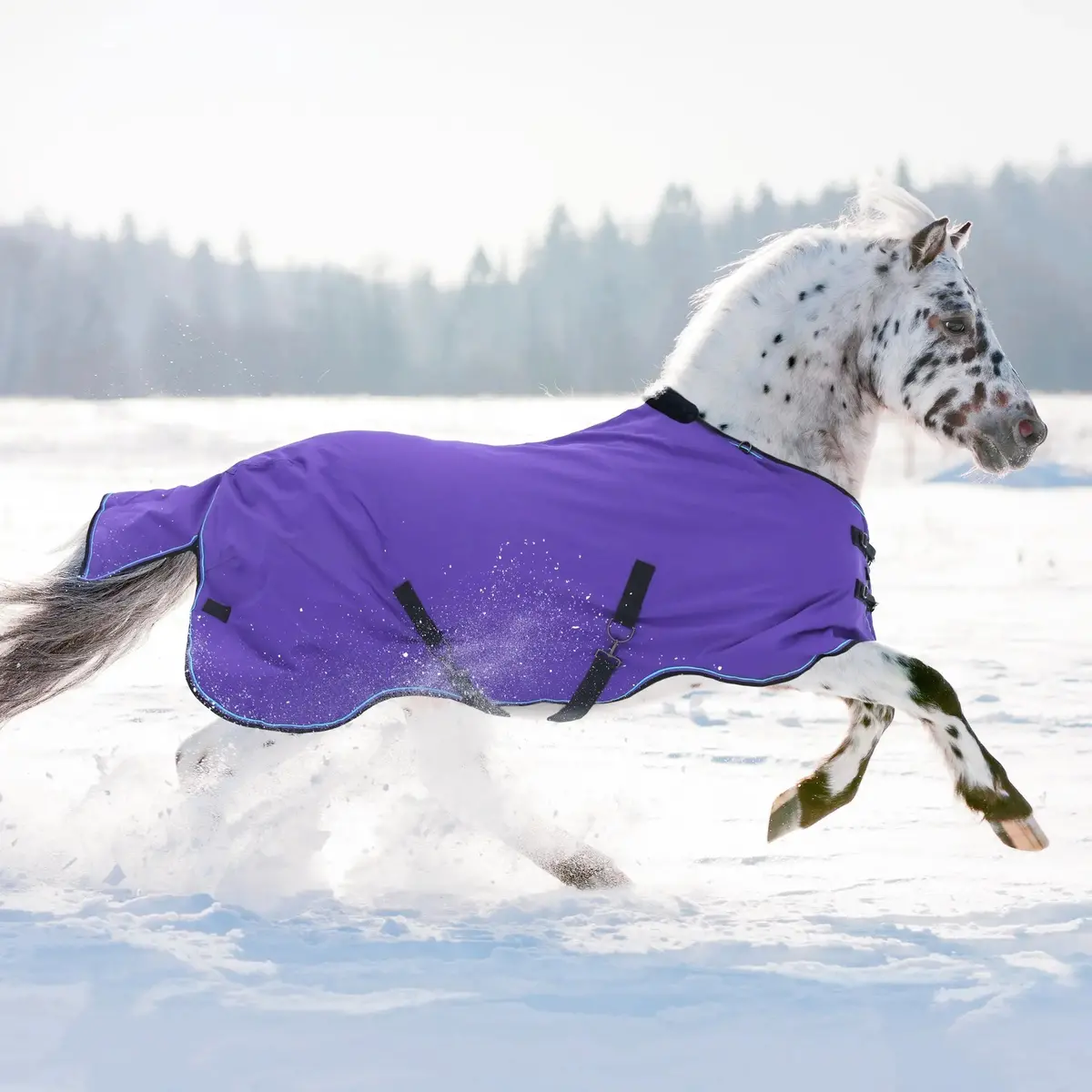 Pony Midweight 180G Horse Winter Turnout Blanket - Waterproof & Breathable 4