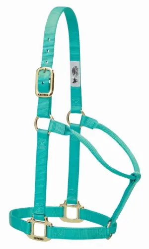 Weaver Original Non-Adjustable Halter , 1" 1
