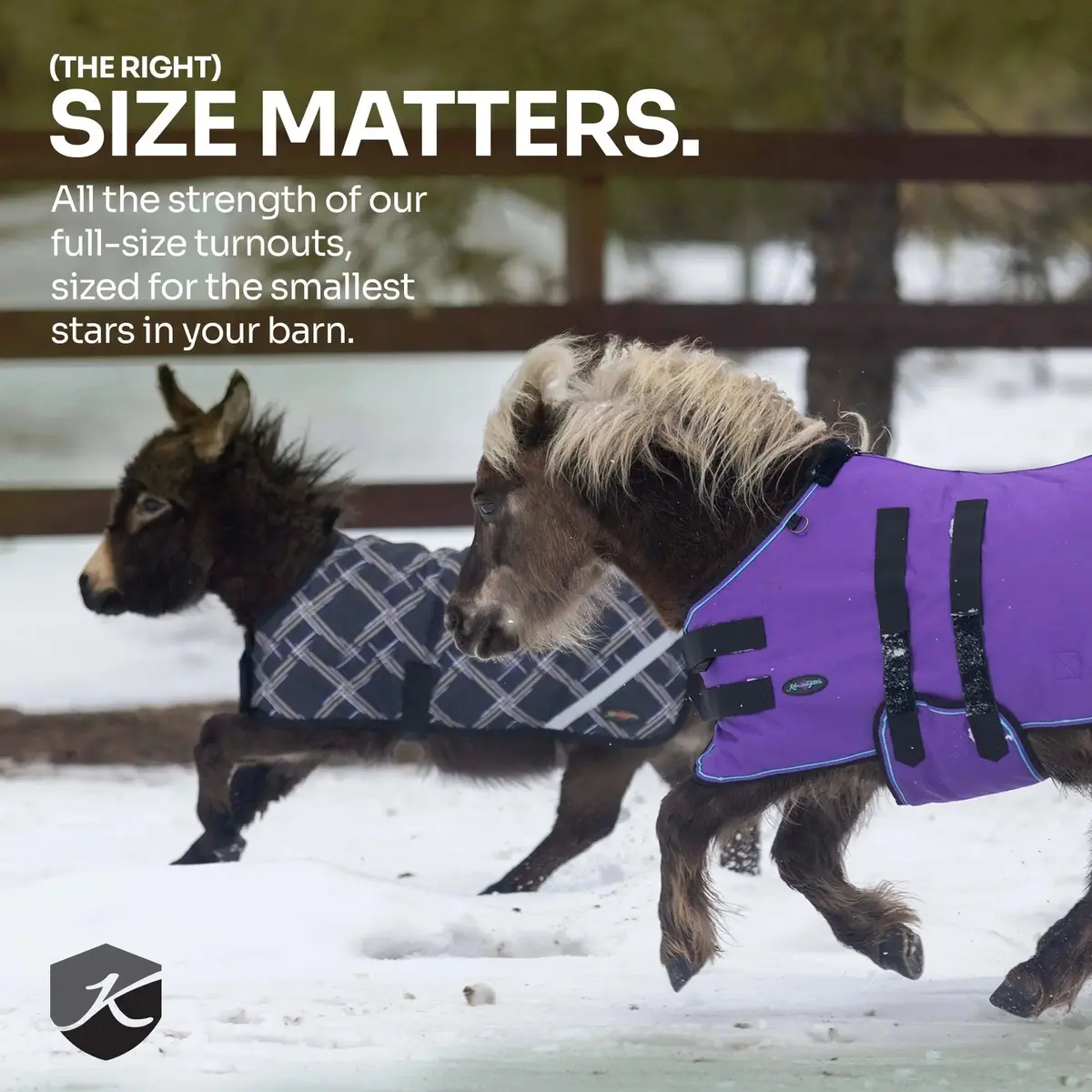 Mini 180G Medium Weight Horse Winter Turnout Blanket - Waterproof & Breathable 15
