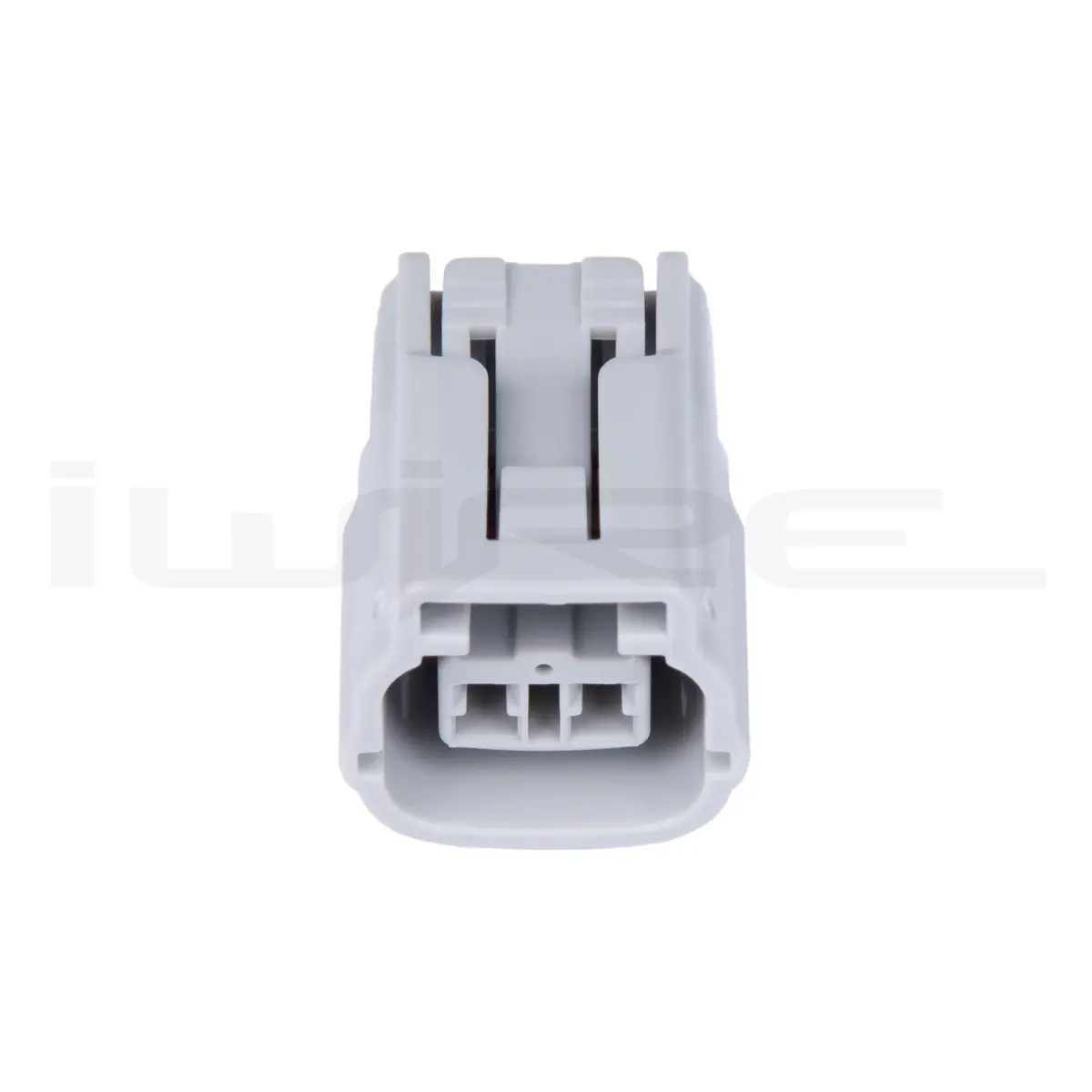 Leak Diagnosis Plug 1