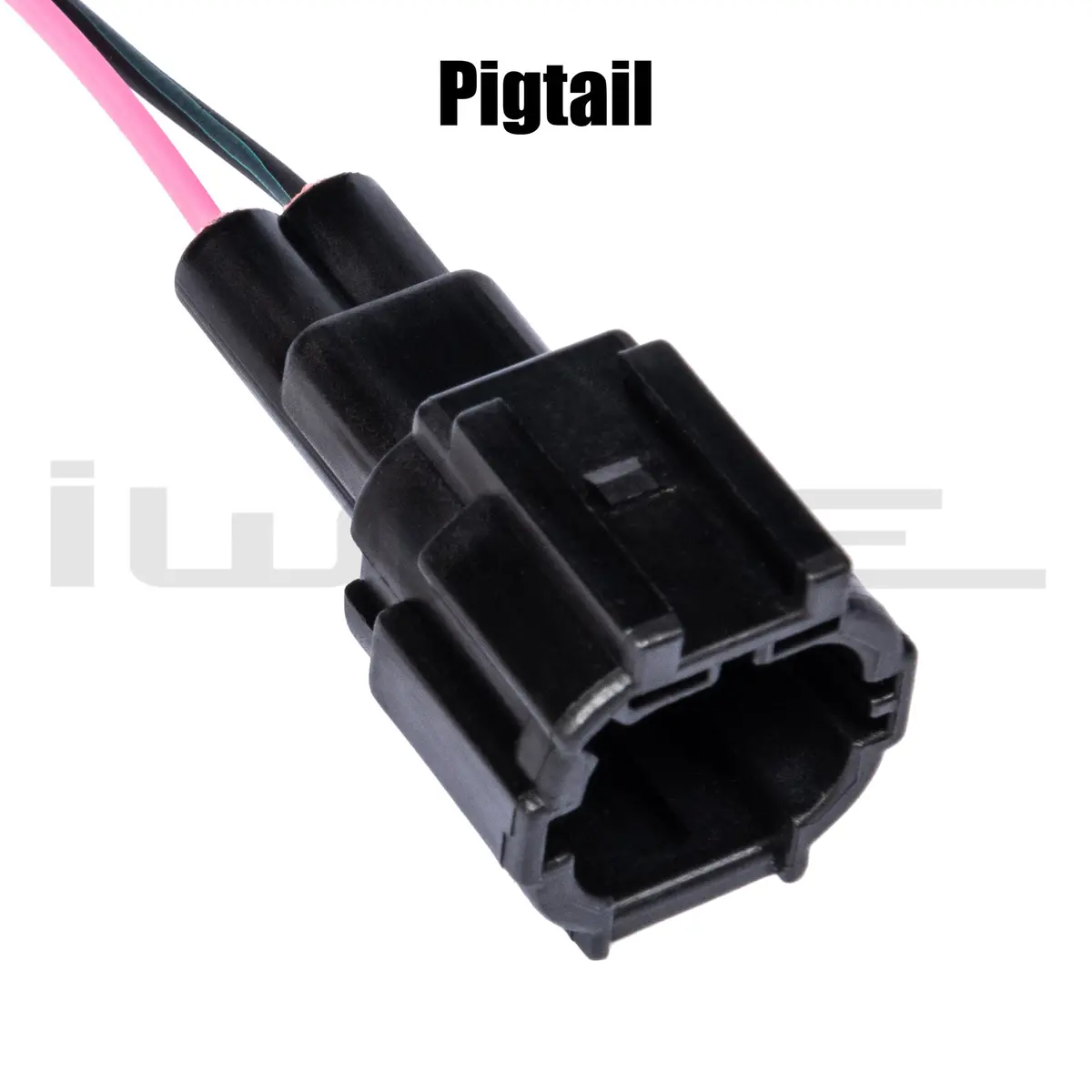 Fog Light Receptacle C 3