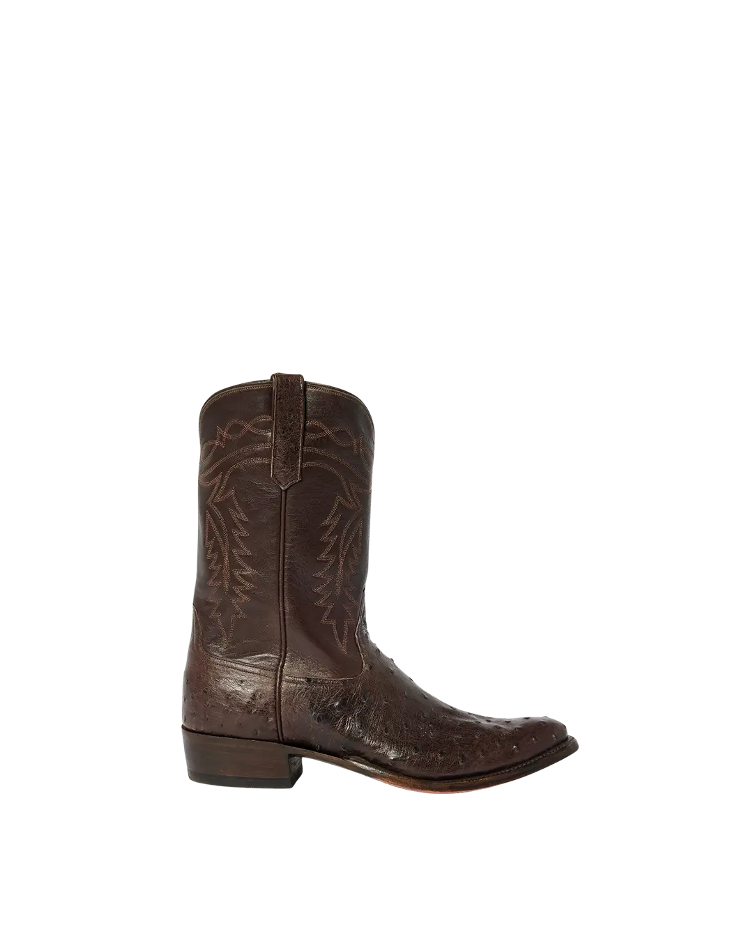 Coley Chocolate Ostrich 1