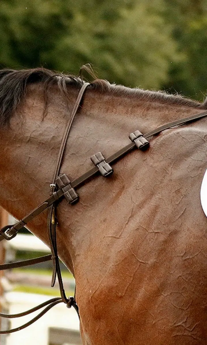 Correct Connect Aaron Vale Reins With 3 Padded Hand Grips 1