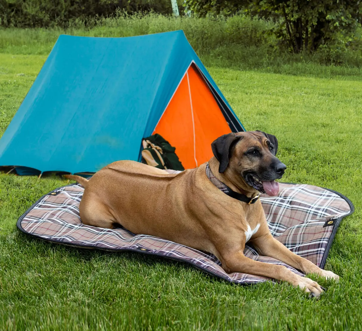 Dog Camping Pad - Packable, Durable & Safety Reflective 2