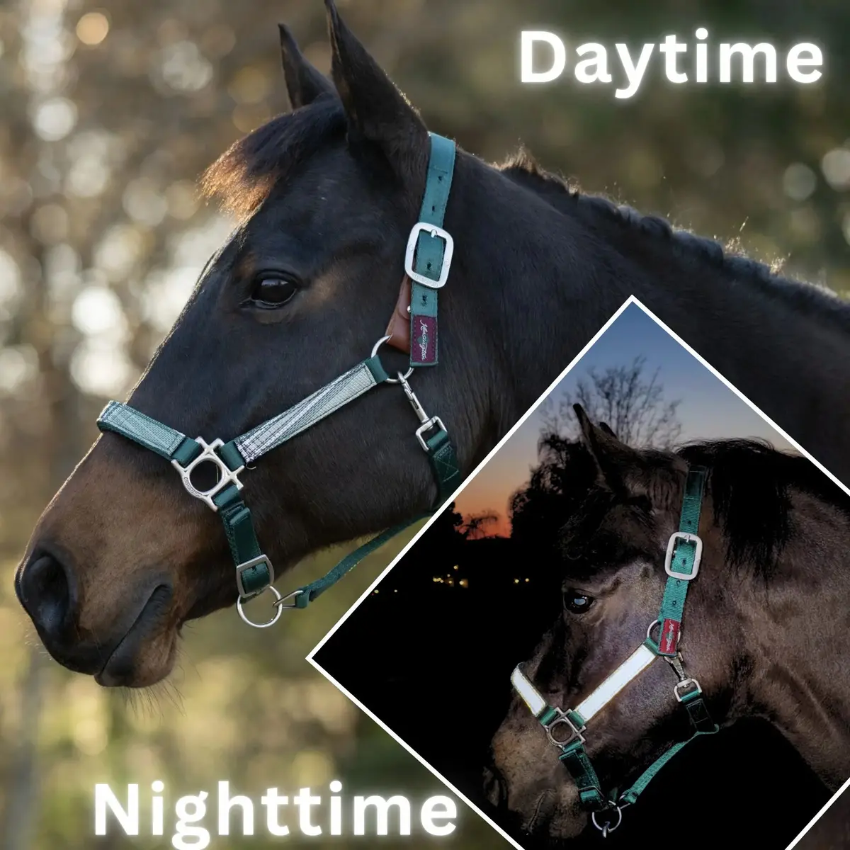 Reflective Breakaway Nylon Halter With Textliene 1