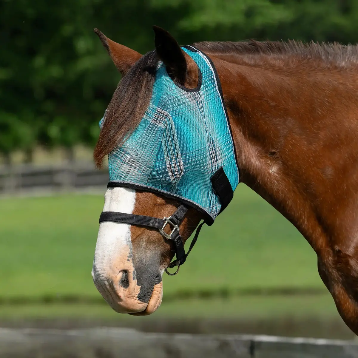 Draft Horse Fly Mask With 73% Uv Protection 6