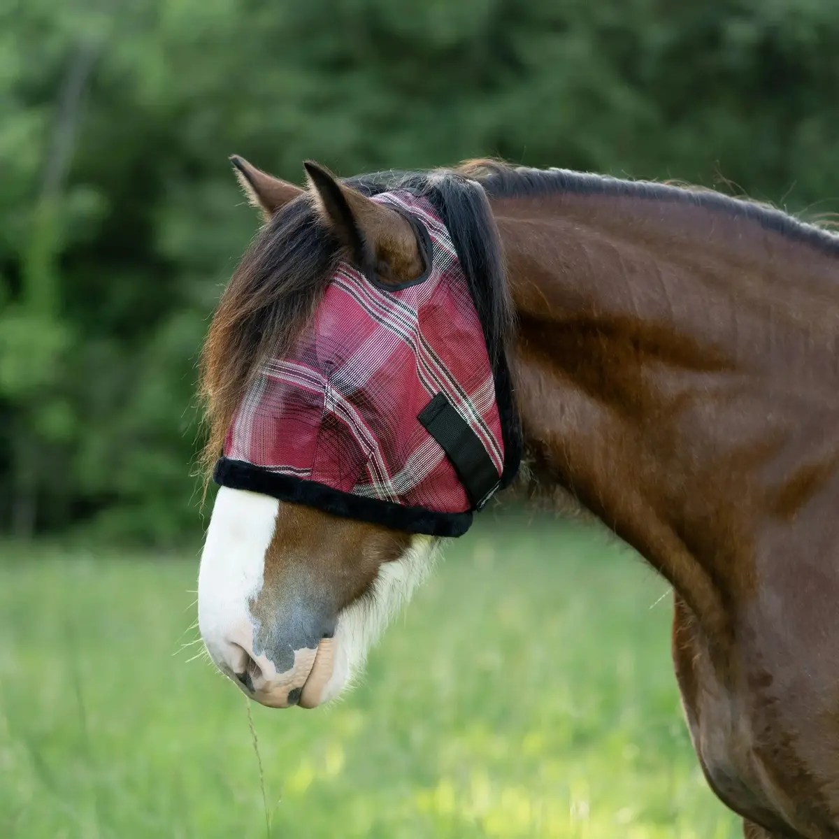 Draft Horse Fly Mask With Fleece Trim & 73% Uv Protection 2