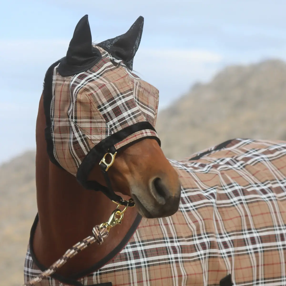 Fly Mask With Ears & 73% Uv Protection 1