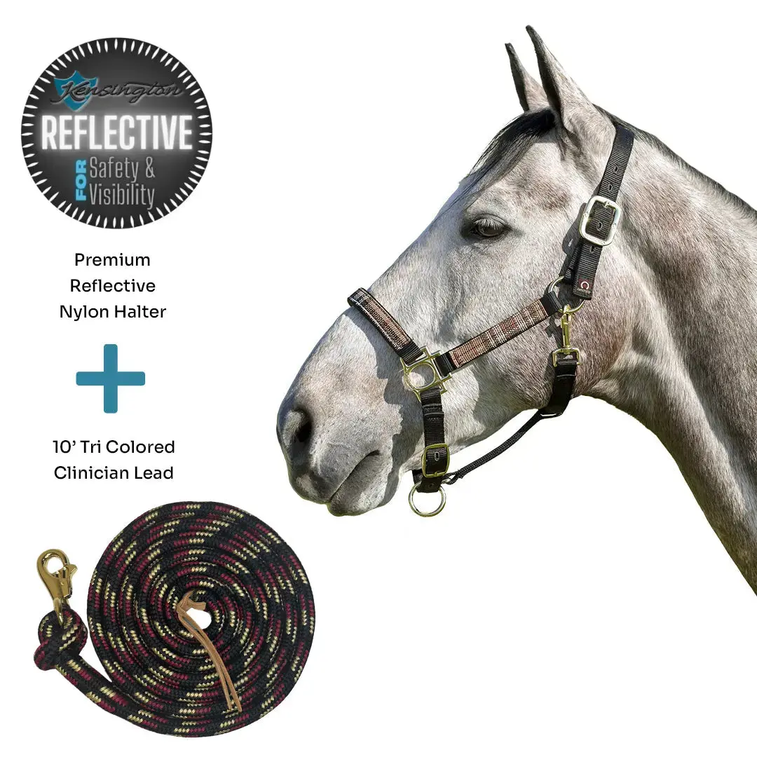 Bundle: Reflective Nylon Halter & 10' Clinician Lead 1