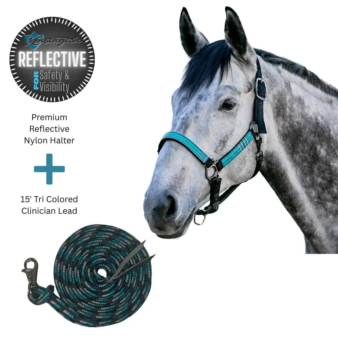 Bundle: Reflective Nylon Halter & 15' Clinician Lead 18