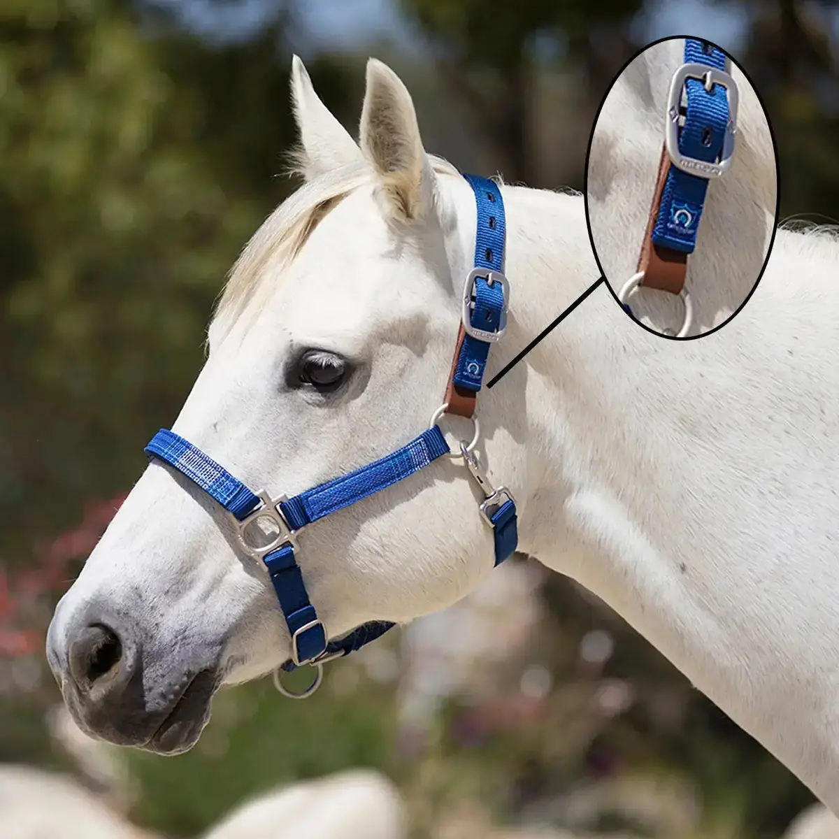 Nylon Breakaway Halter With Textilene 1