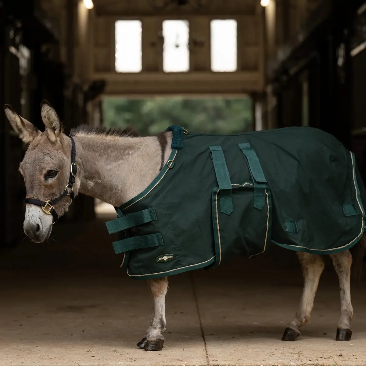 Mini Donkey Stable Day Sheet – Lightweight Poly Cotton 1