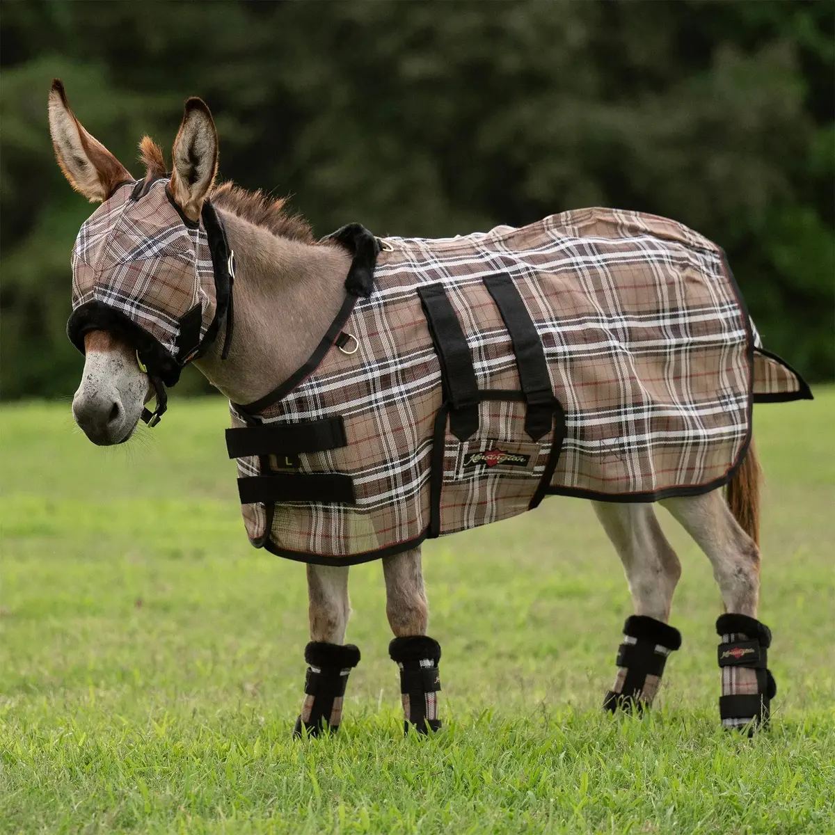 Mini Donkey Protective Fly Sheet With Belly Band - 73% Uv Protection 1