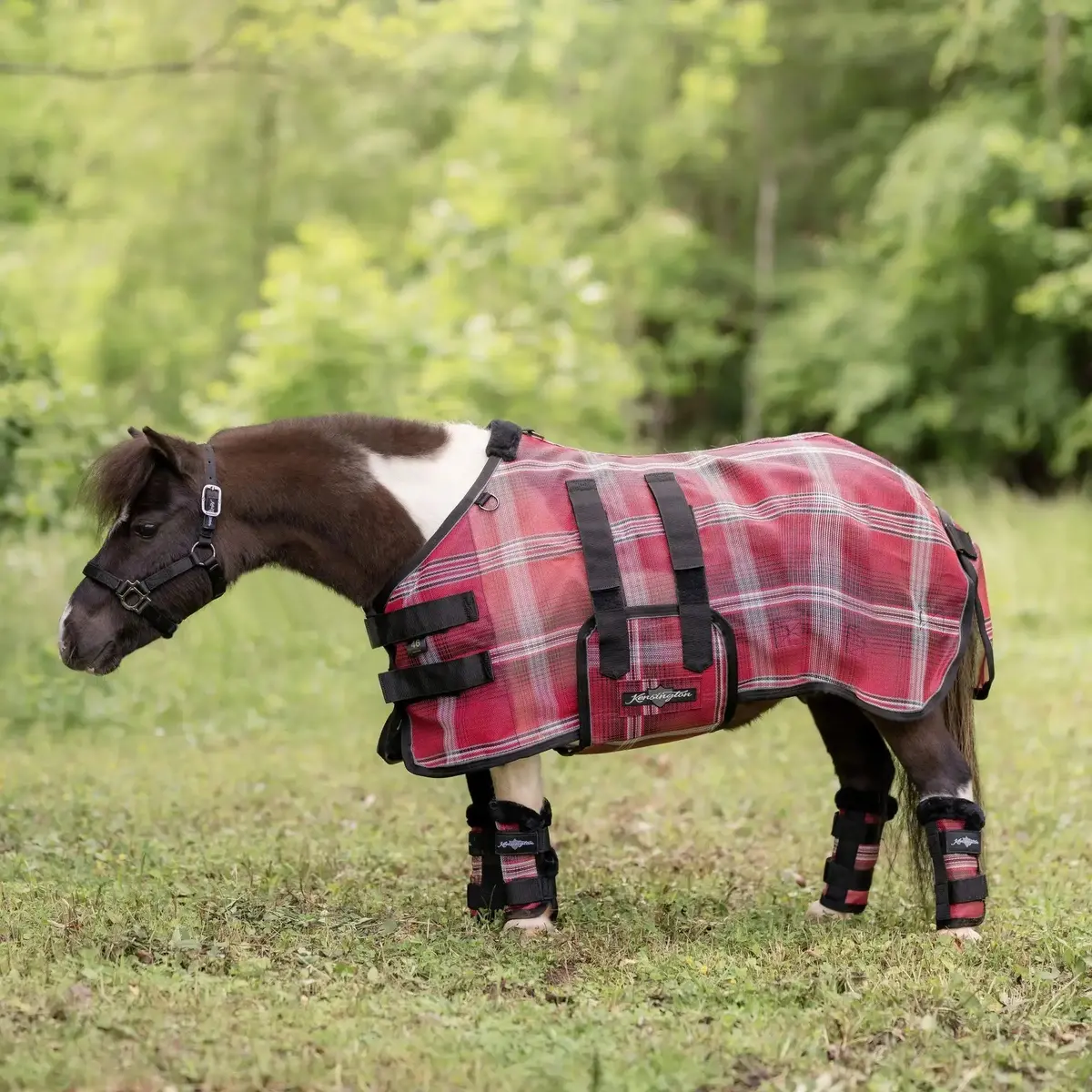 Mini Fly Sheet with Belly Band – Lightweight UV Shield (73%) for Smaller Horses
