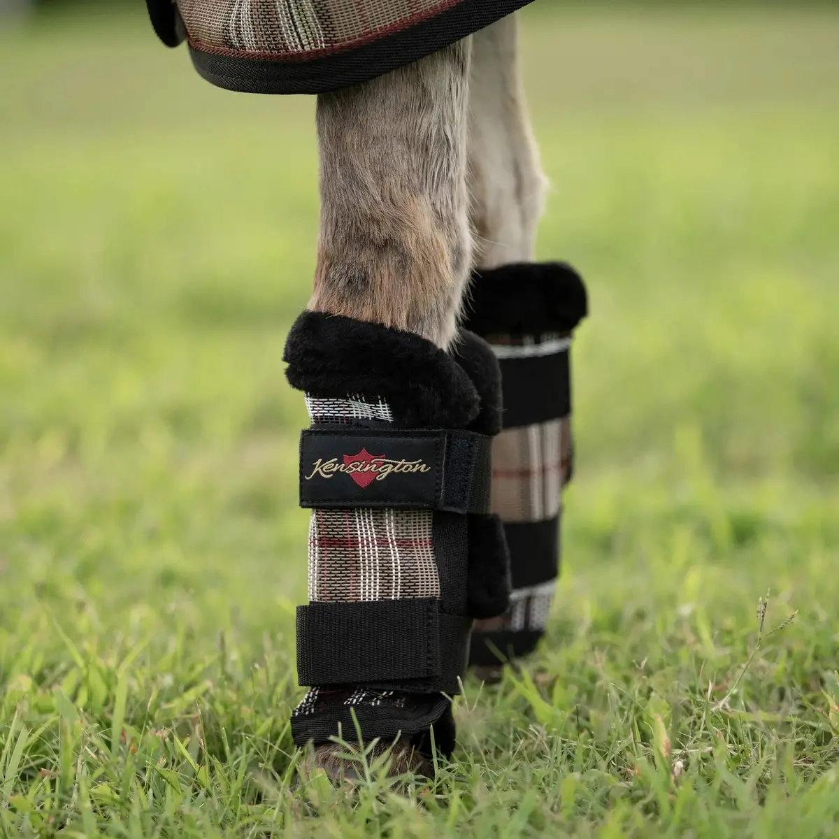 Mini Donkey Fly Boots With Fleece Trim - Set Of 4 - 73% Uv + Fly Protection 1