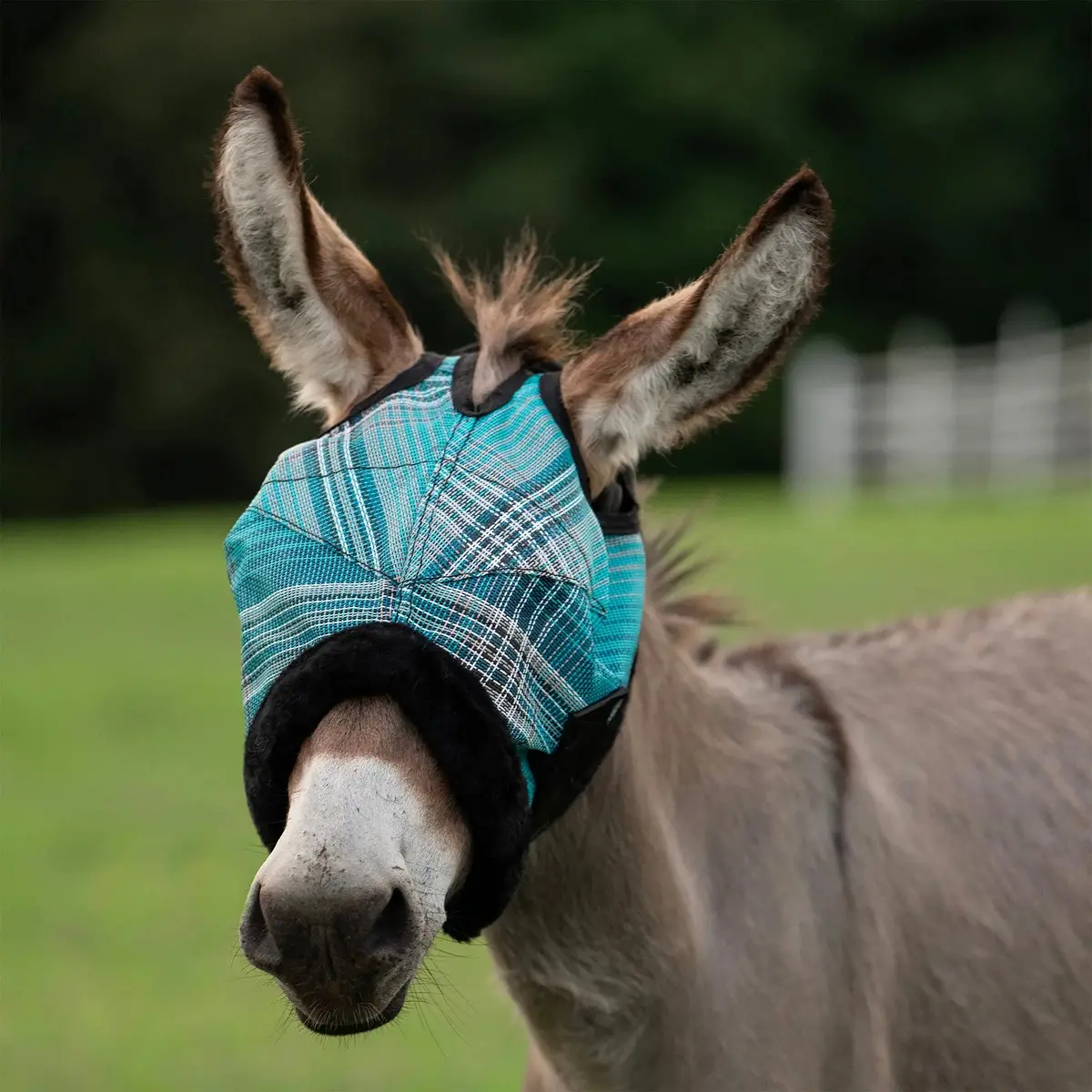 Mini Donkey Fly Mask Featuring Fleece Edging – 73% UV Shielding