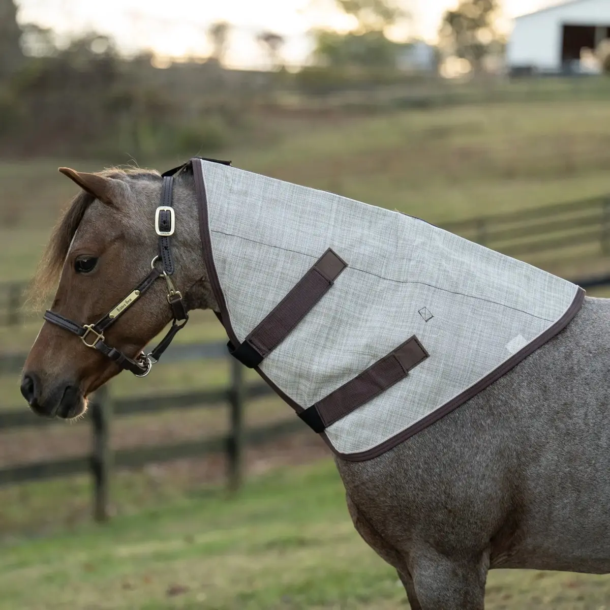 Pony Protective Neck Cover - Pairs With Fly Sheet - 73% Uv Blocking 6