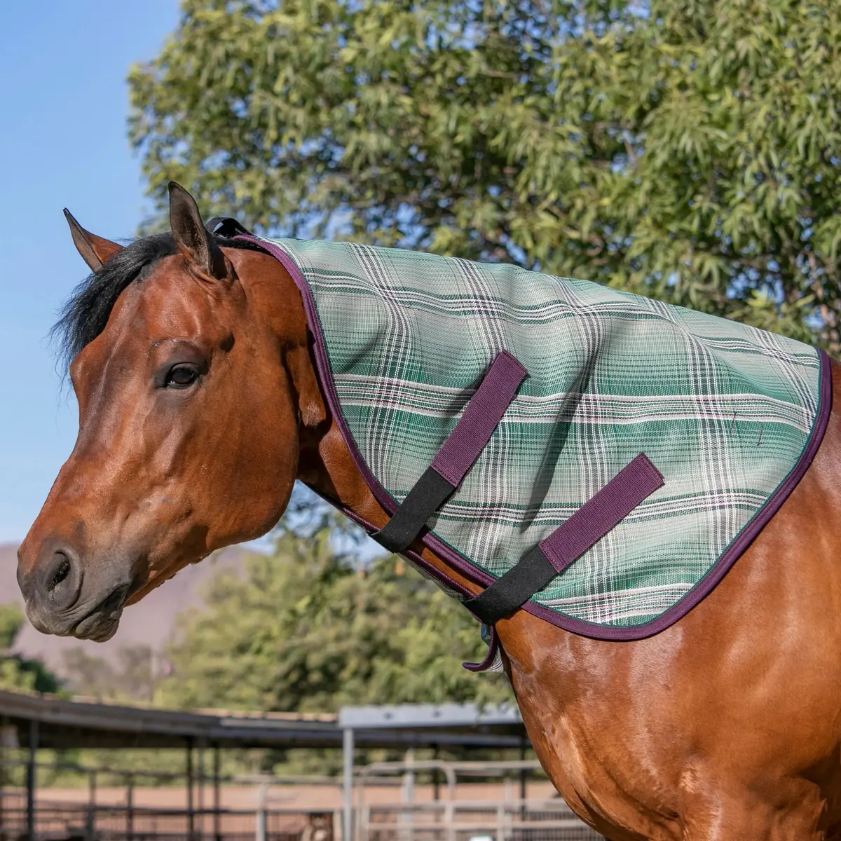Horse Protective Neck Cover - Pairs With Fly Sheet - 73% Uv Blocking 9