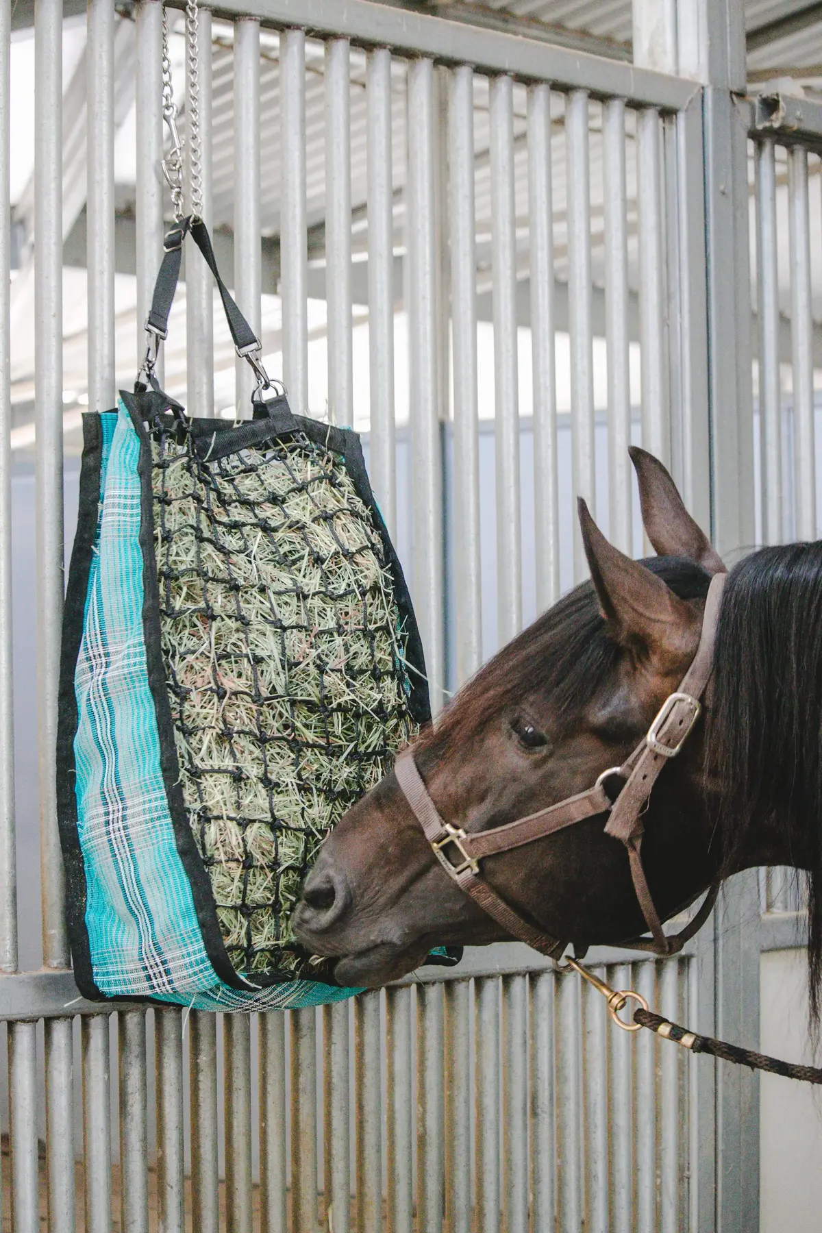 Slow Feed Hay Bag - 2 Flake Capacity 6