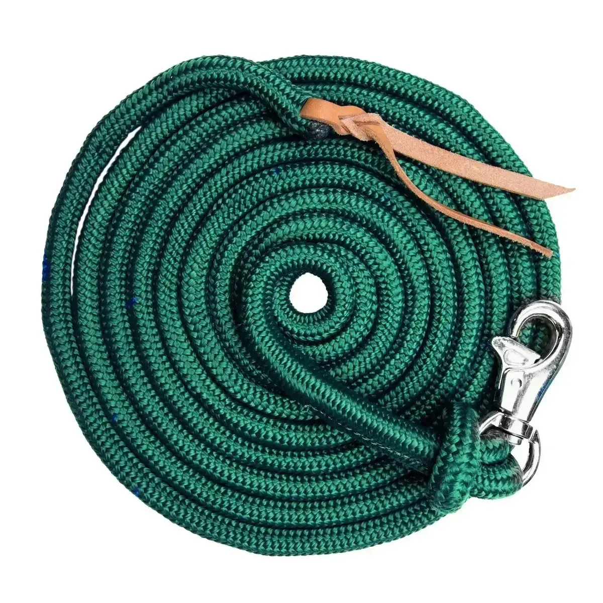 25' Clinician Equine Training Lead 4