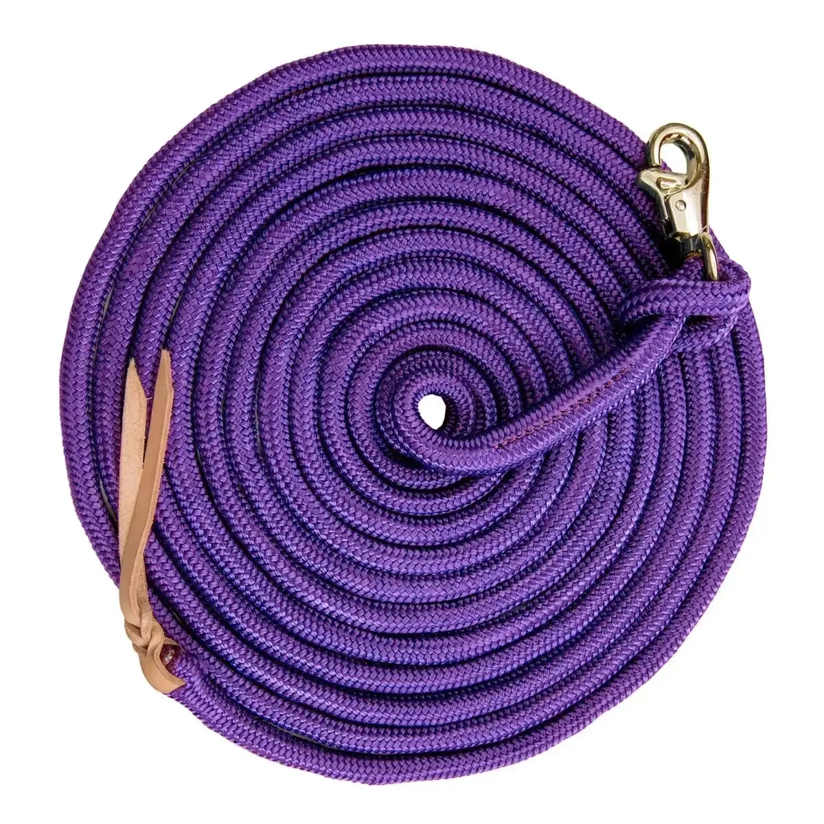 10' Clinician Equine Training Lead 1