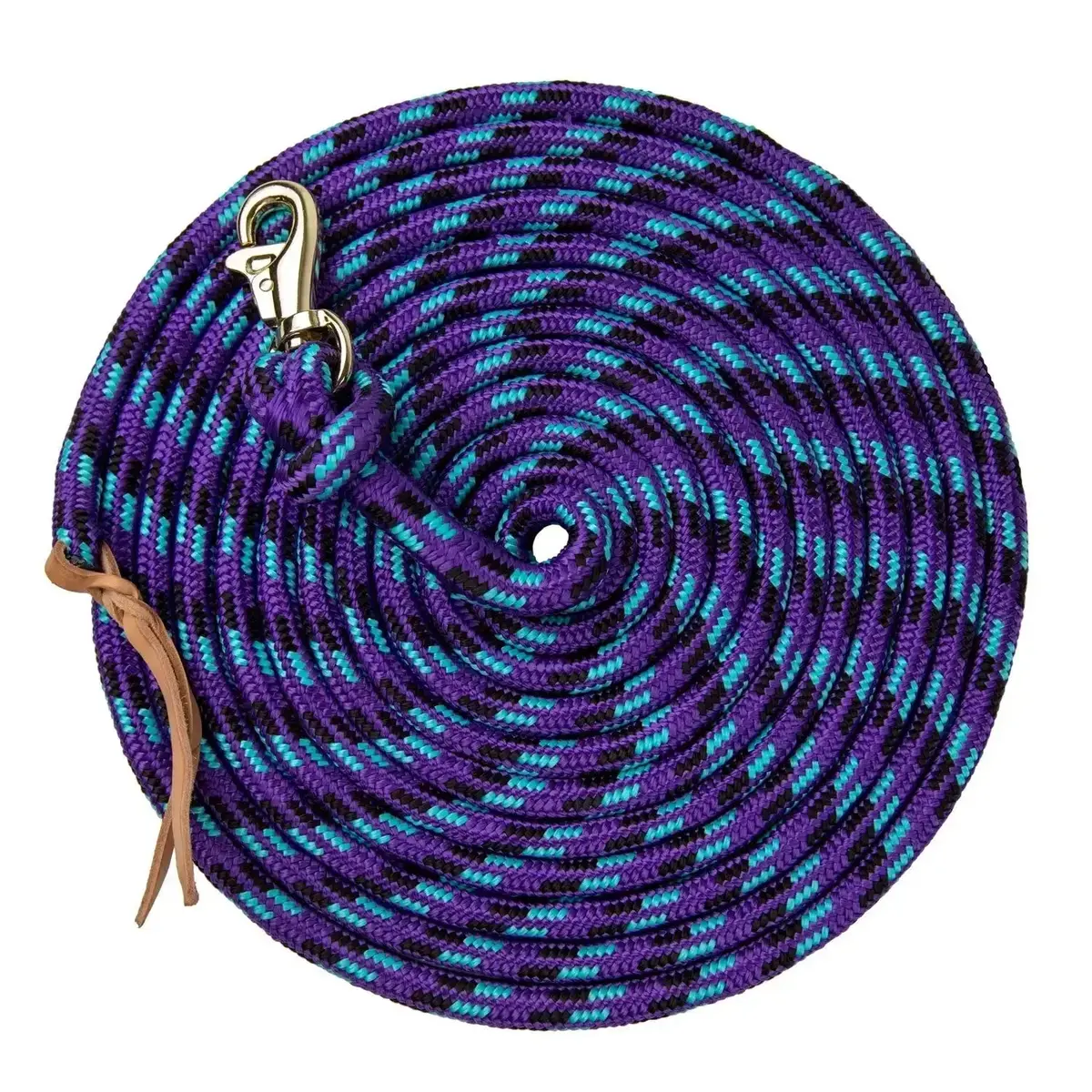 10' Tricolored Clinician Equine Training Lead 3