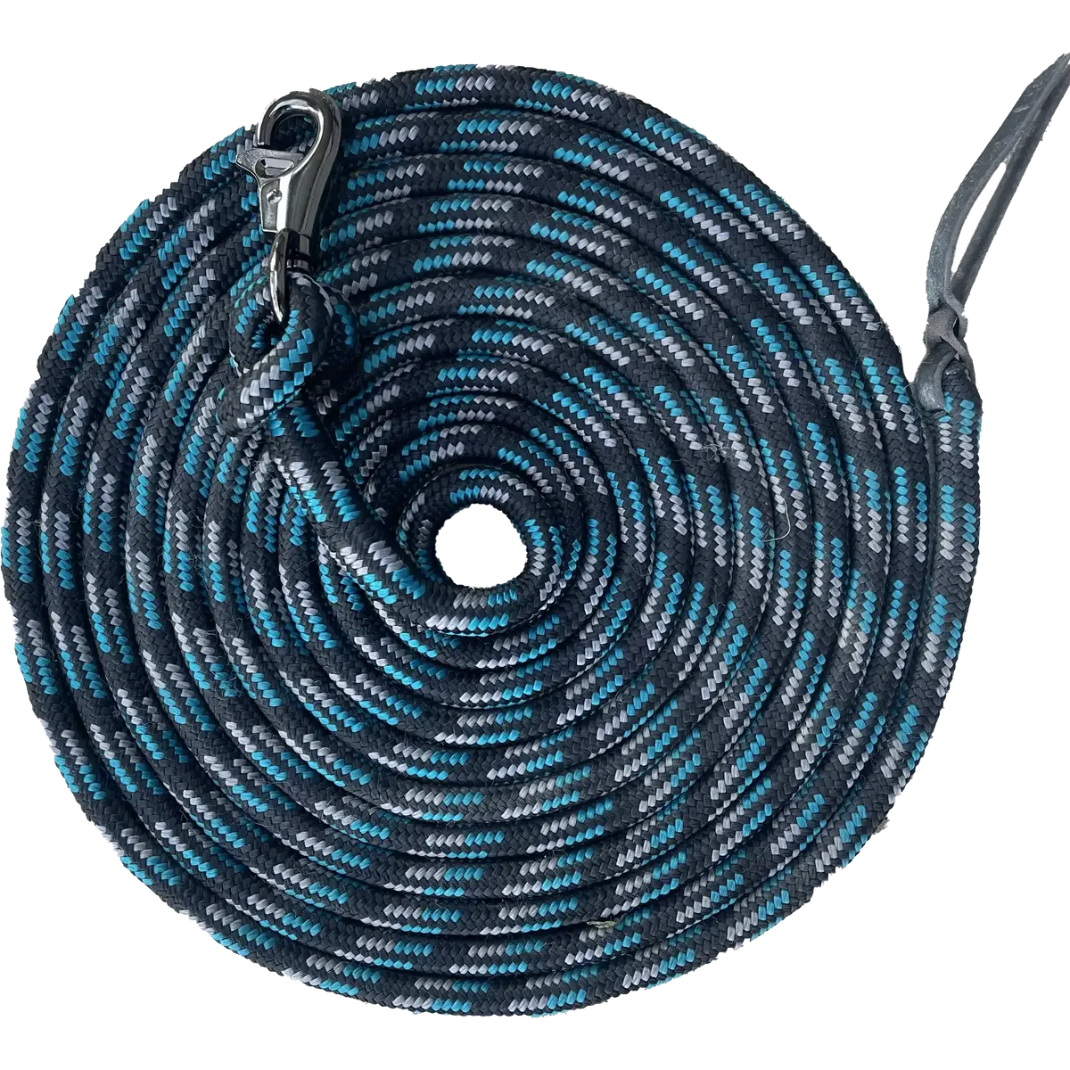 15' Tricolored Clinician Equine Training Lead 6