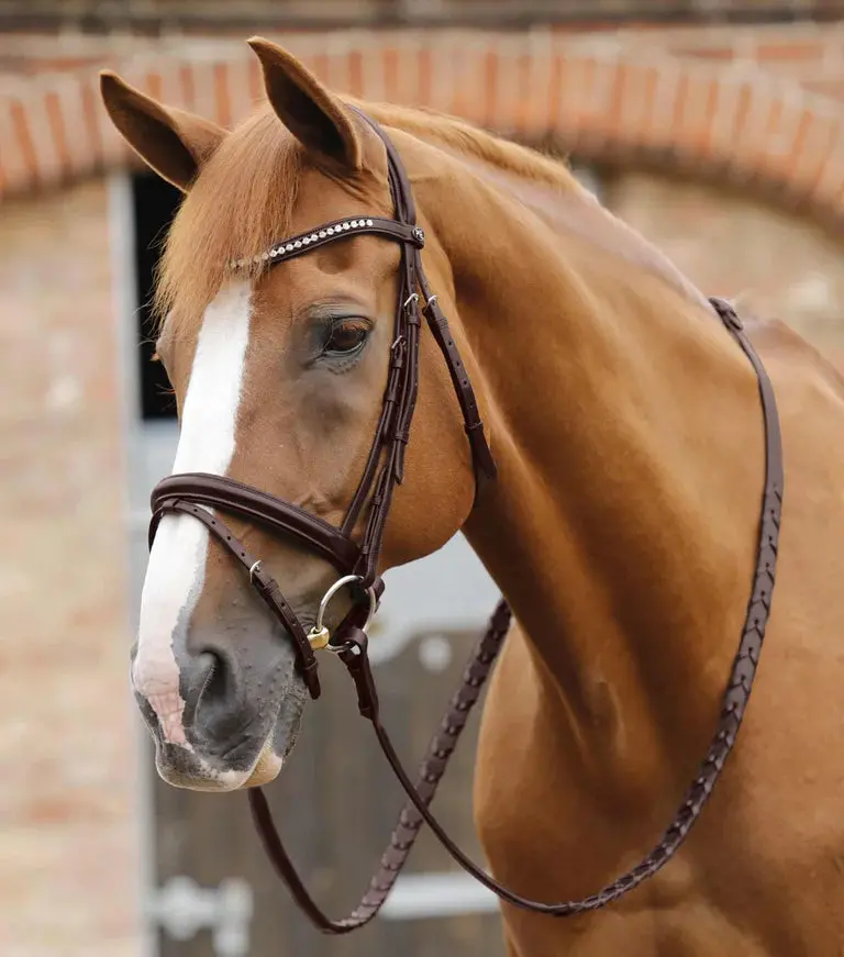 Premier Equine Pietro Laced Reins 1