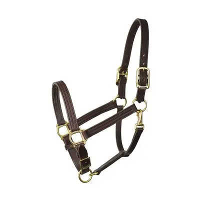 Perri's 1" Havana Turnout Halter 1